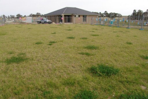 127 Ridgetop Drive, Glenmore Park Sold by ResponseRE
