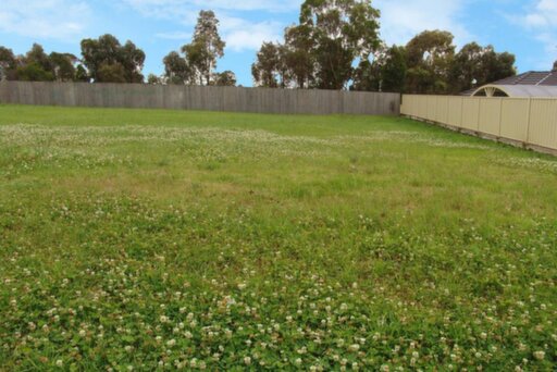 6 Eddy Street, St Clair Sold by ResponseRE