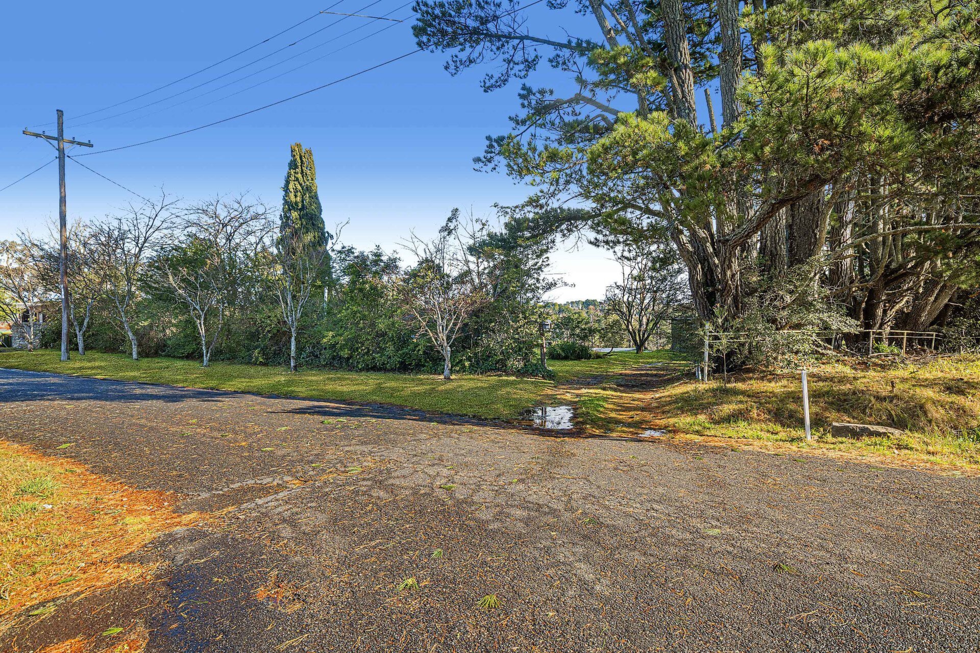 50 Nelson Avenue, Wentworth Falls Sold by ResponseRE - image 1