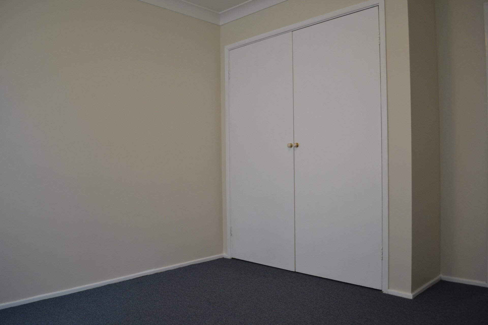 62 Tichborne Drive, Quakers Hill Leased by ResponseRE - image 1