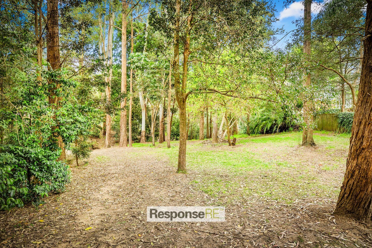 38 Ula Crescent, Baulkham Hills Sold by ResponseRE Walsh Sullivan Baulkham Hills - image 1