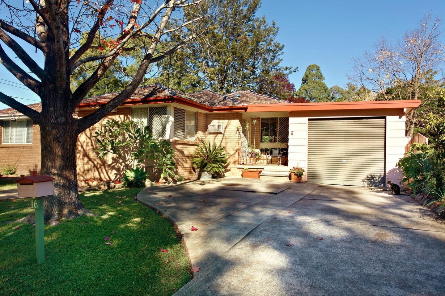 16 Edna Street, Kingswood Sold by Response Real Estate Penrith - image 1