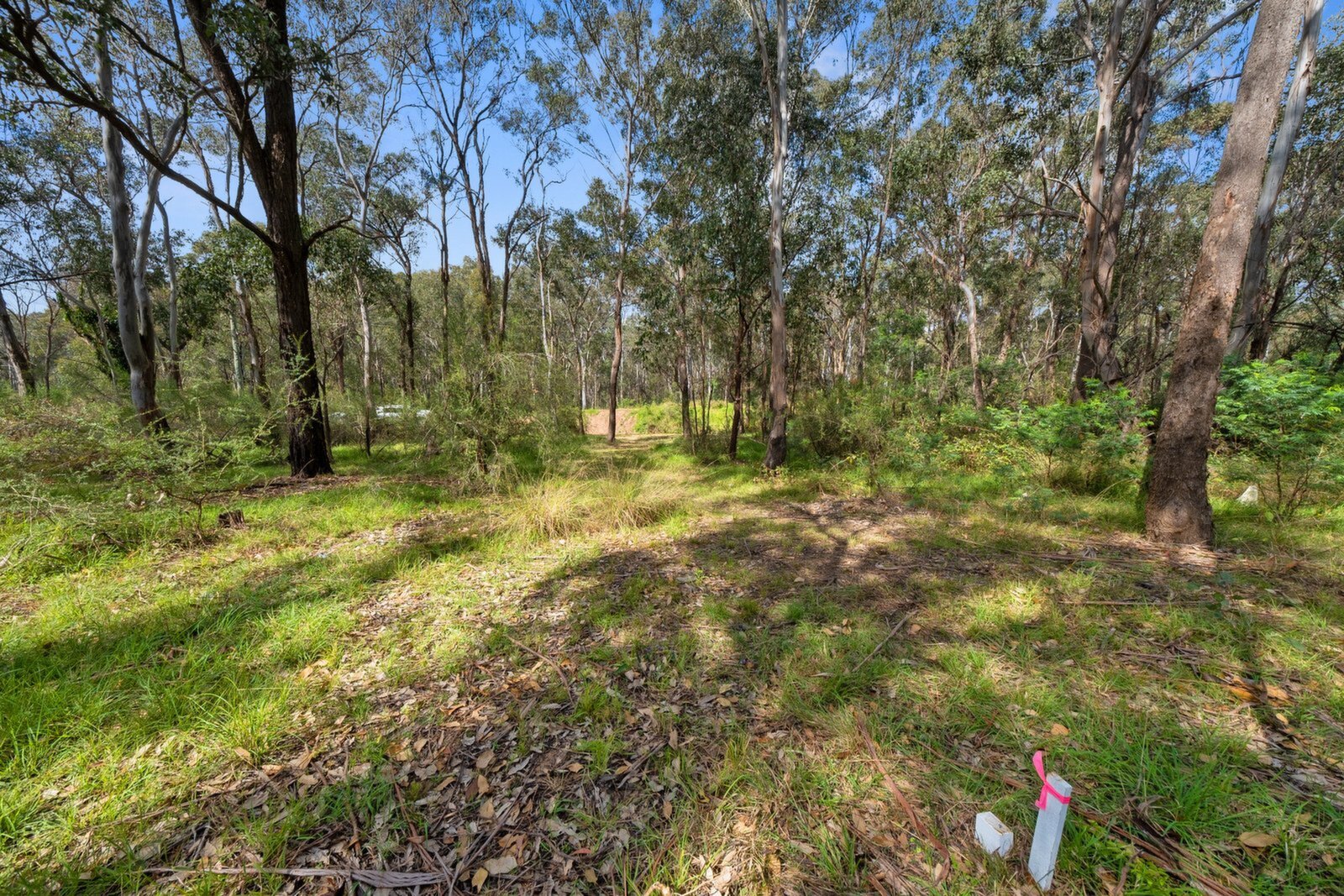 Lot 31,  Loftus Street, Grantham Farm Sold by ResponseRE - image 1