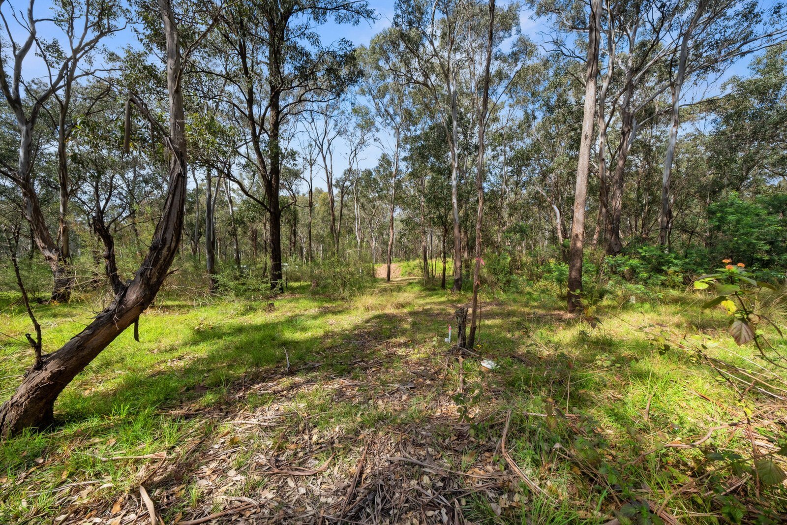 Lot 31,  Loftus Street, Grantham Farm Sold by ResponseRE - image 1