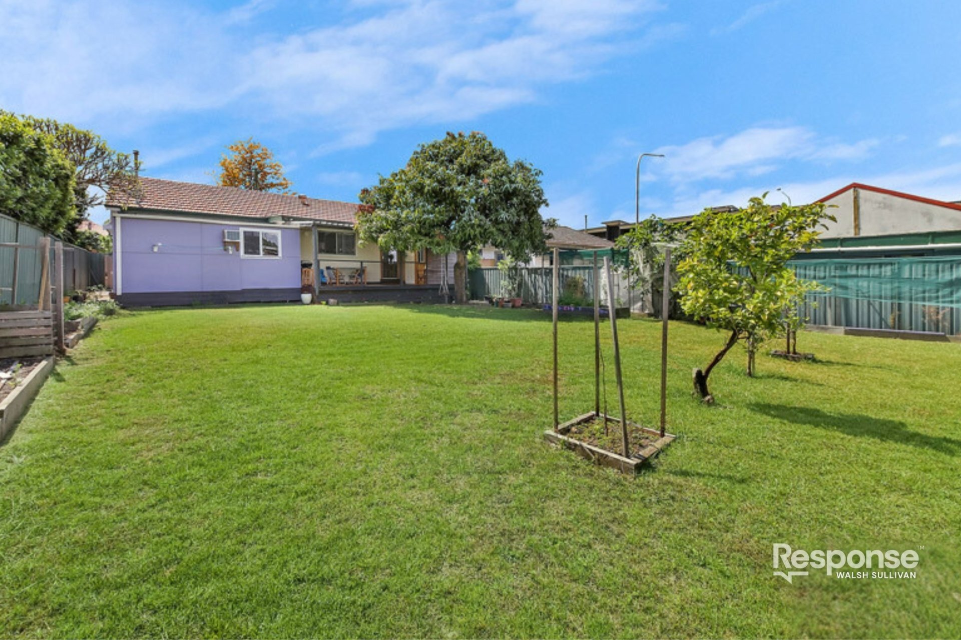 30 Hayes Avenue, Northmead Leased by ResponseRE Walsh Sullivan Baulkham Hills - image 1