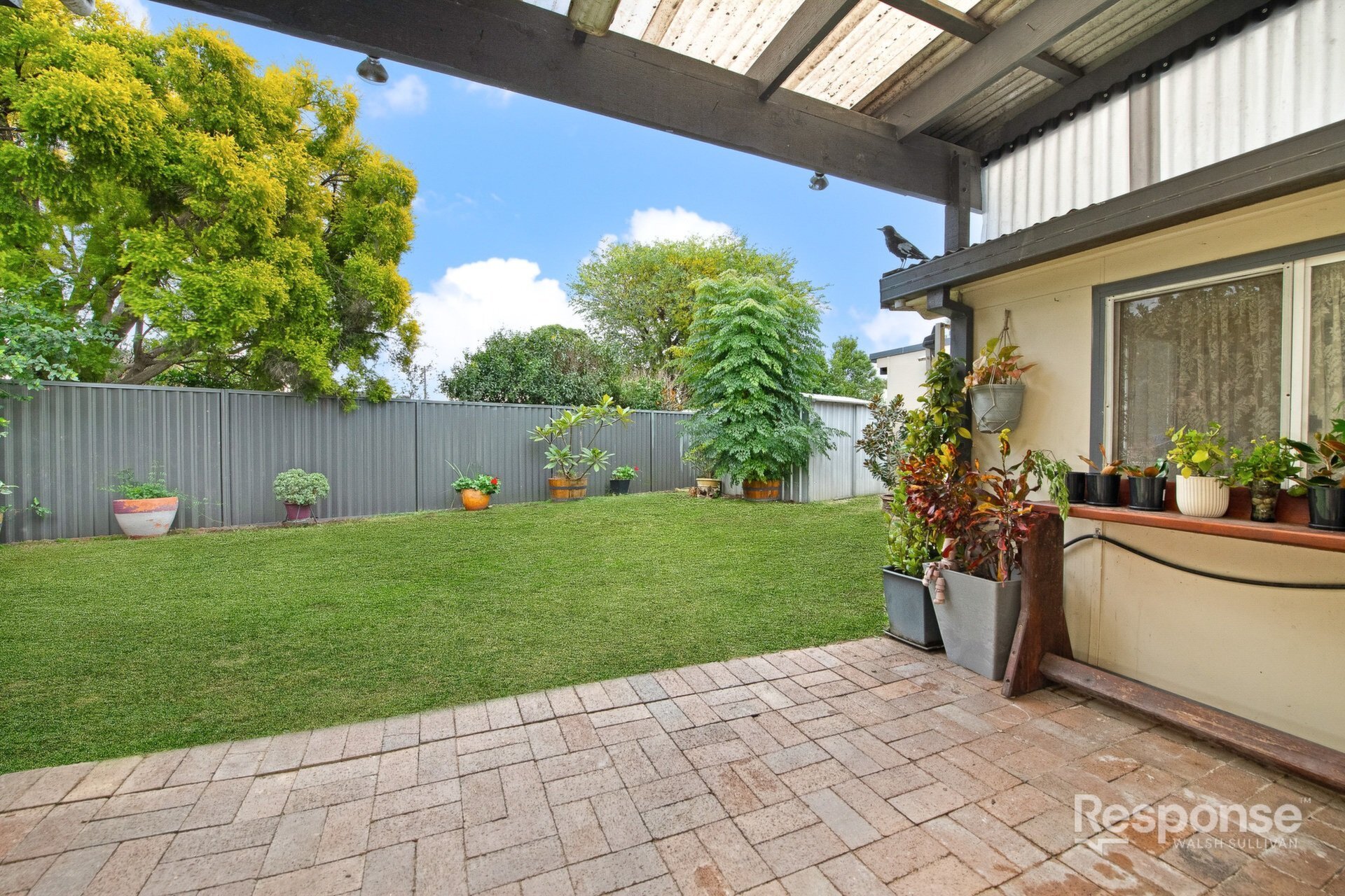 11 Lodge Avenue, Old Toongabbie Sold by ResponseRE Walsh Sullivan Northmead - image 1