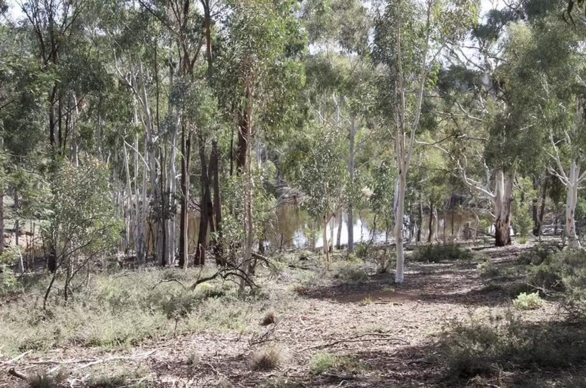 Lot 100,  Hume Highway, Lade Vale For Sale by ResponseRE Norwest - image 1