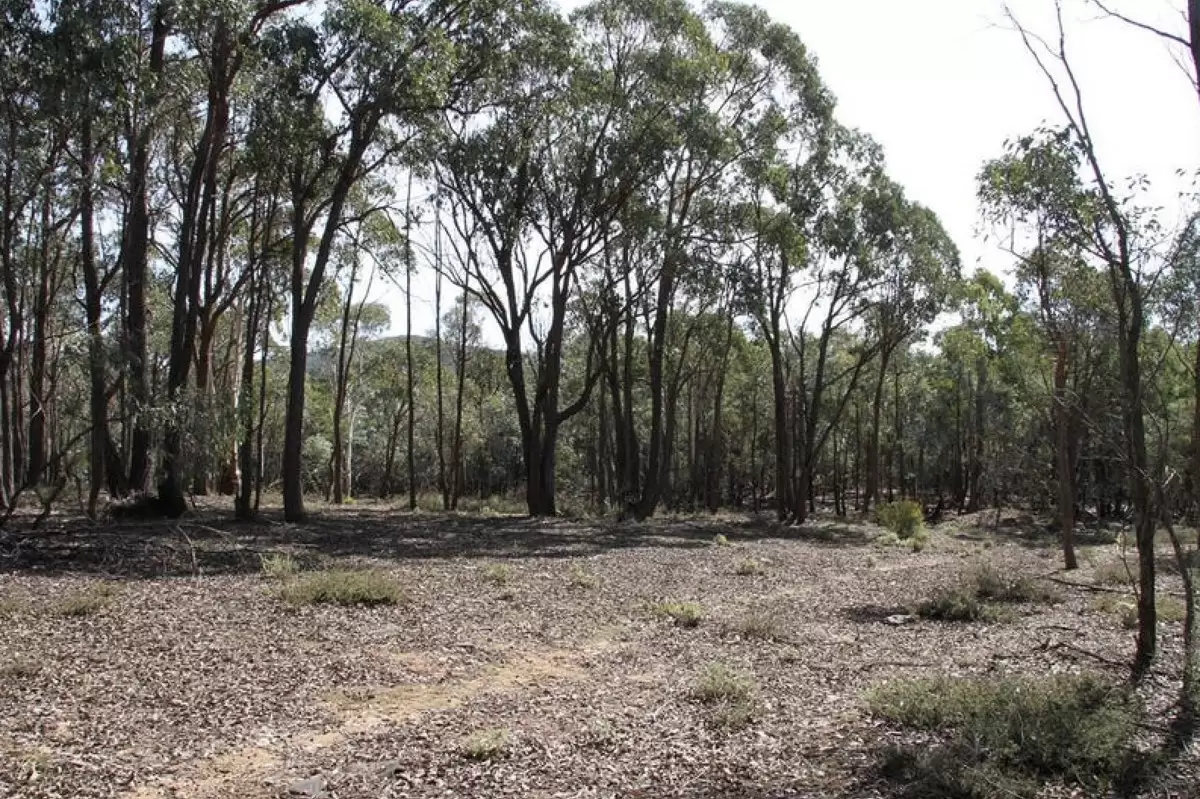 Lot 100,  Hume Highway, Lade Vale For Sale by ResponseRE Norwest - image 1