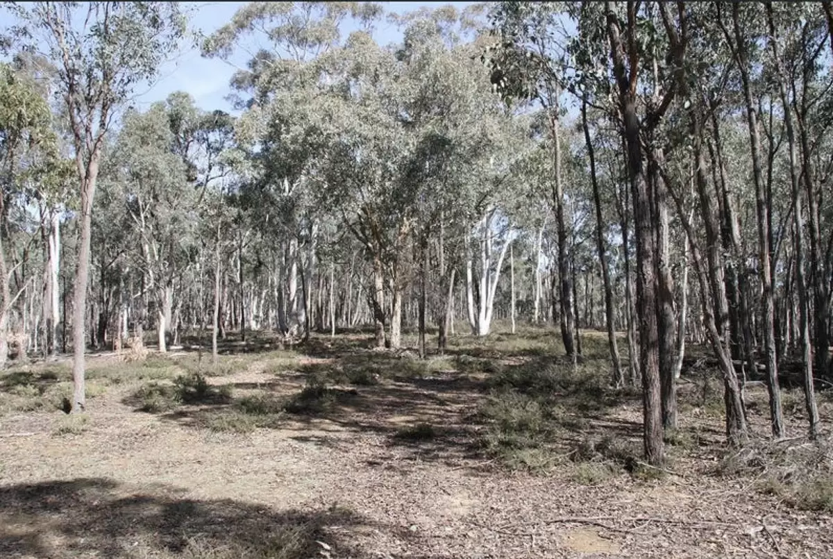 Lot 100,  Hume Highway, Lade Vale For Sale by ResponseRE Norwest - image 1