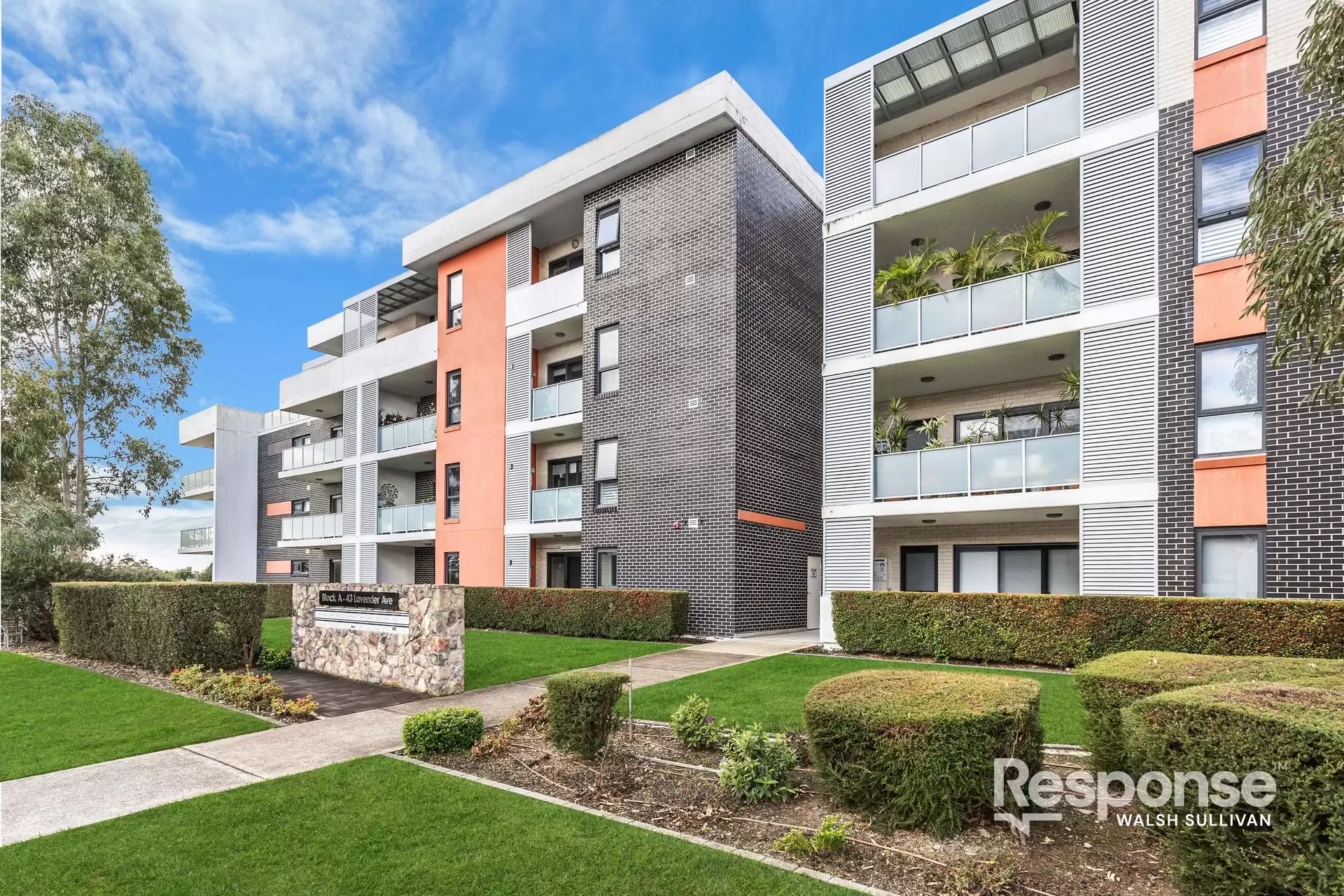 2/43 Lavender Avenue, Kellyville For Lease by ResponseRE Walsh Sullivan Baulkham Hills - image 1