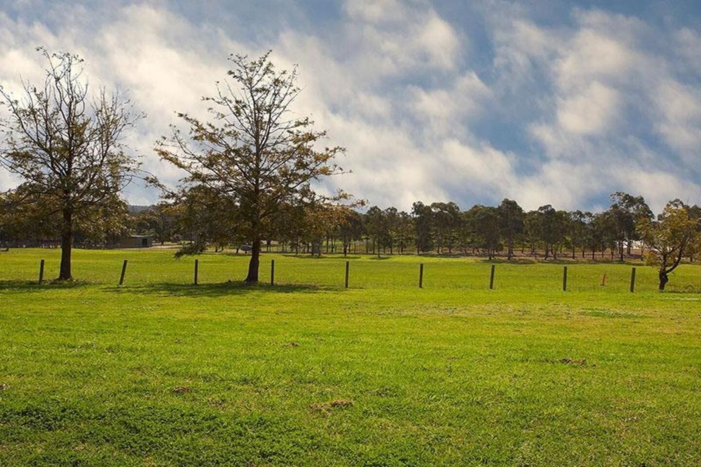 Quakers Hill Sold by ResponseRE Norwest - image 1